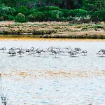 Costa Salina 4* פורטו-וישיו