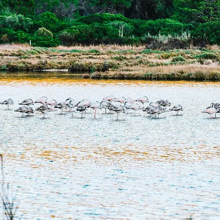 Costa Salina 4* Порто-Веккіо