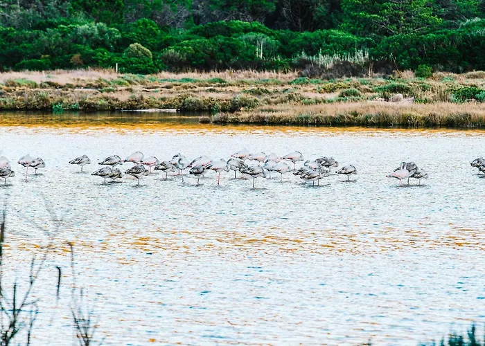 Costa Salina 4* Porto-Vecchio (Corsica)